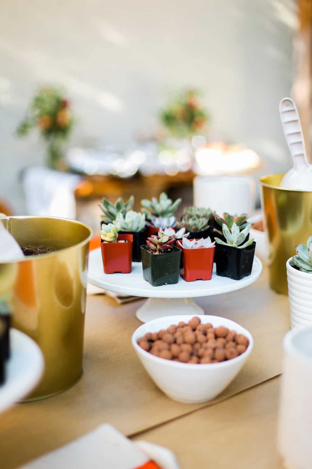 Succulent and Spritzer Garden Party