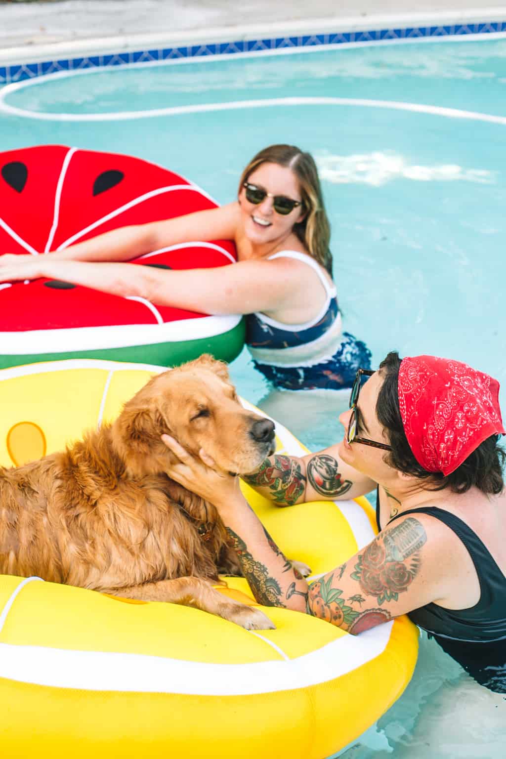 Two girls on pool floats in the pool with a dog on one of the pool floats.