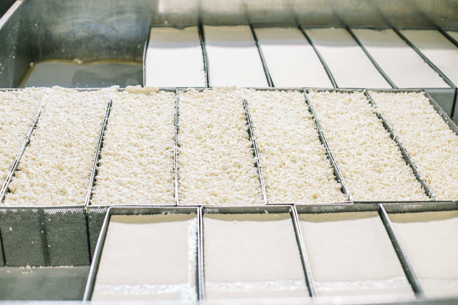 Cheese being made in a dairy plant. 