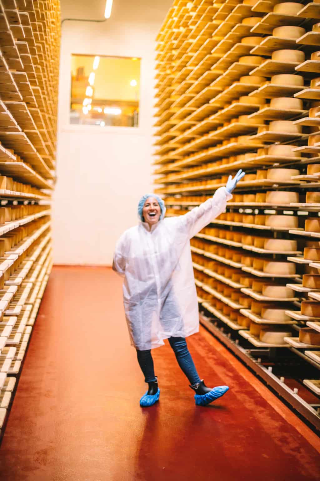 Room full of cheese wheels at a dairy plant. 