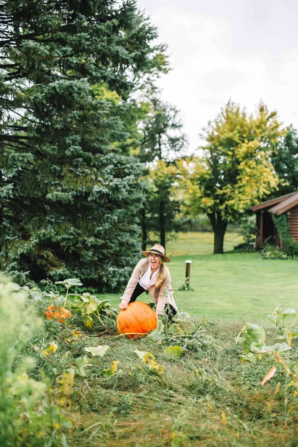 Girl holding a pumpkin on a farm. 