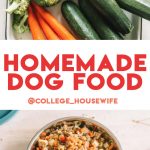 diy dog food ingredients and in bowl