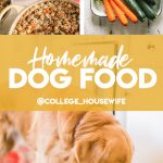 homemade dog food with golden retriever