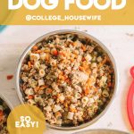 diy dog food in bowl