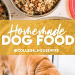 homemade dog food with golden retriever