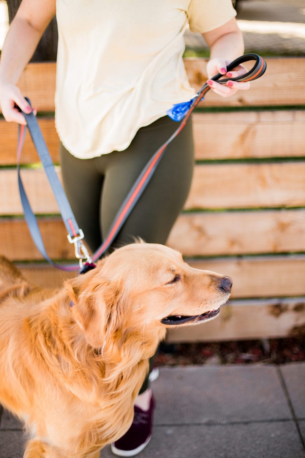 women holding golden retriever on a leash