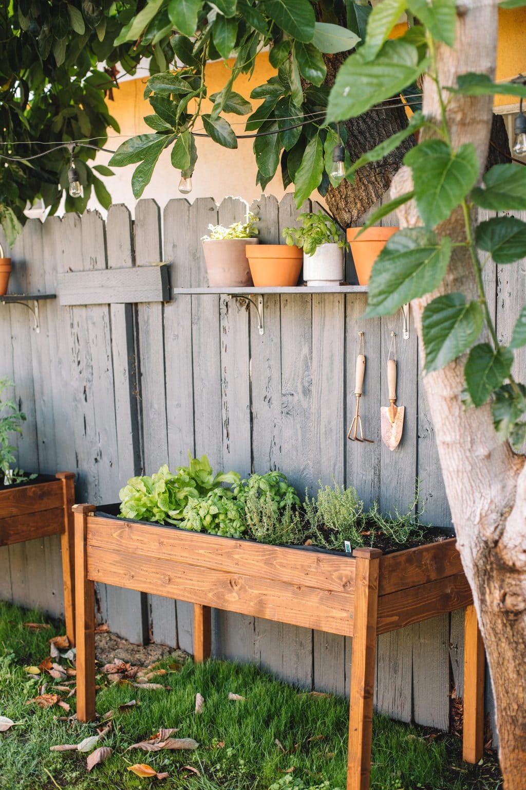 Two raised wooden planters with herbs and lettuce inside.