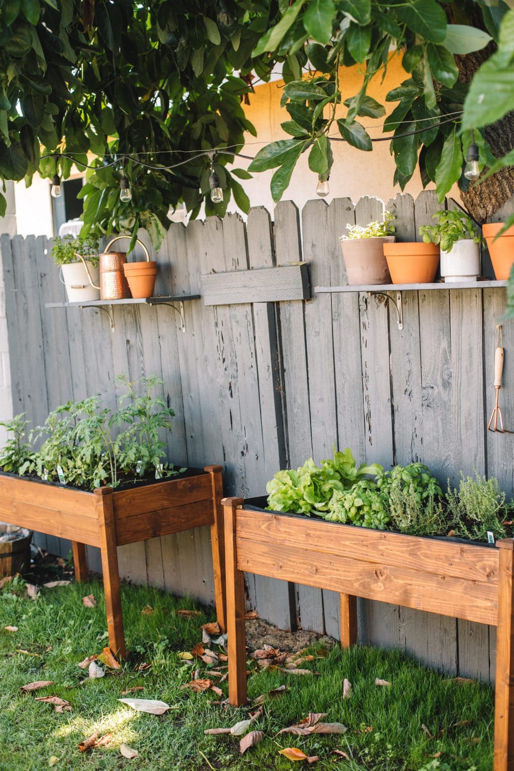 Two raised herb garden planters with herbs and tomatoes planted inside. 