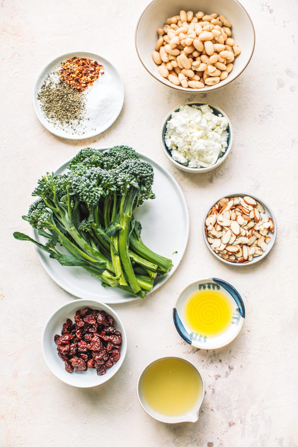 Top shot of broccoli, white beans, almonds, cranberries and other ingredients laid out on countertop.