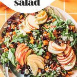 overhead of fall salad recipe with two spoons