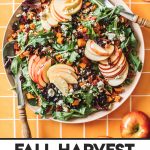 overhead of fall salad recipe with two spoons