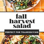 overhead of fall salad recipe with two spoons