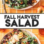 overhead of fall salad recipe with two spoons