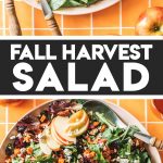 overhead of fall salad recipe with two spoons