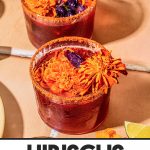 two hibiscus margaritas in glasses with tajin rim