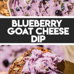 two hands spreading goat cheese with blueberries on cracker with gold knife