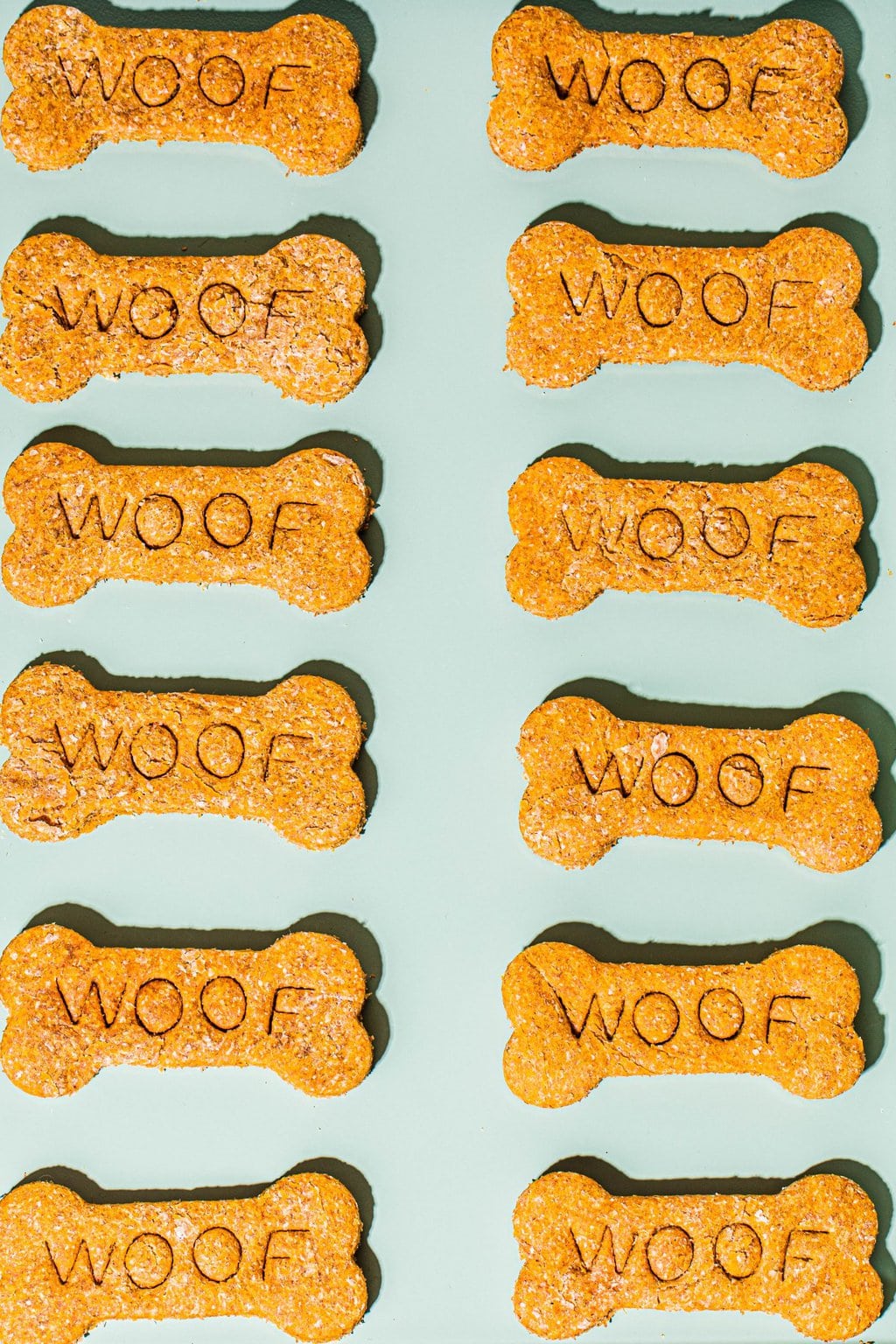 Green baking sheet with bone shaped dog biscuits 