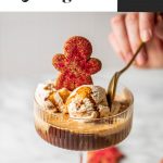 gold spoon dipping into gingerbread affogato in coupe glass