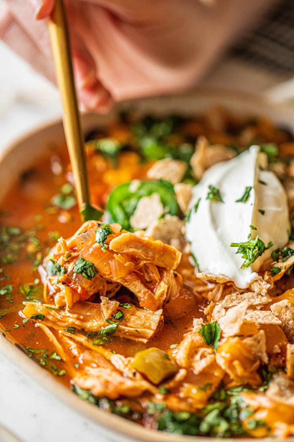 A gold spoon full of healthy chicken tortilla soup 