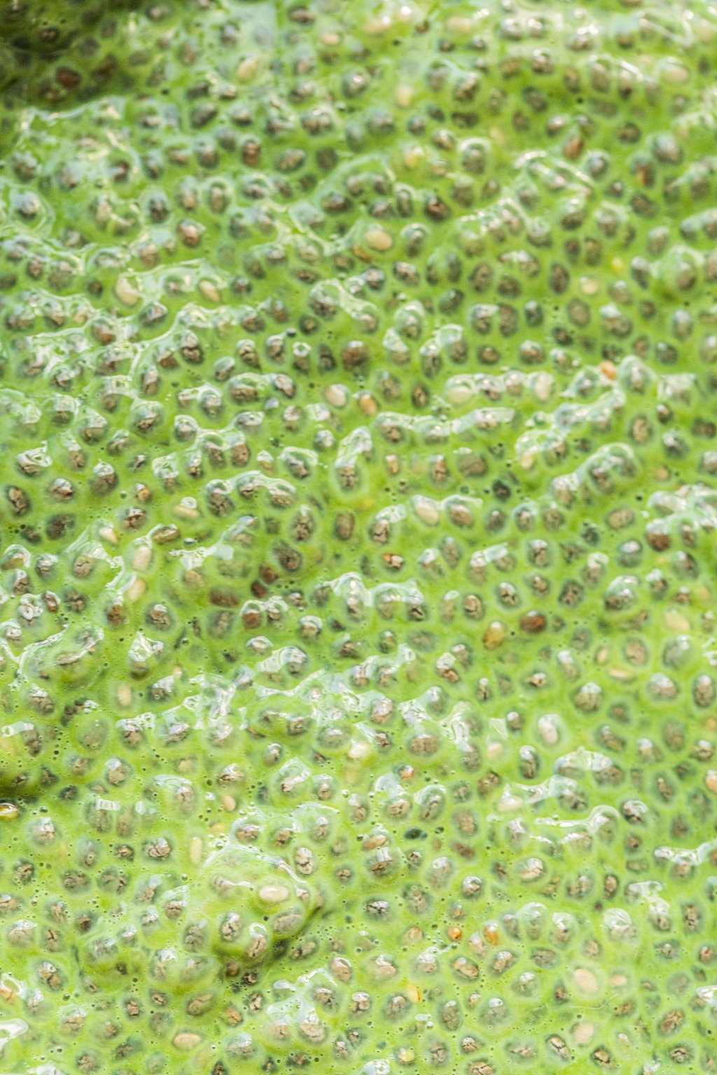 closeup shot of chia seed pudding made with matcha powder