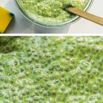 Two photos of chia seed pudding made with matcha with text overlay at the bottom