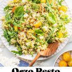 a photo of orzo salad with text overlay