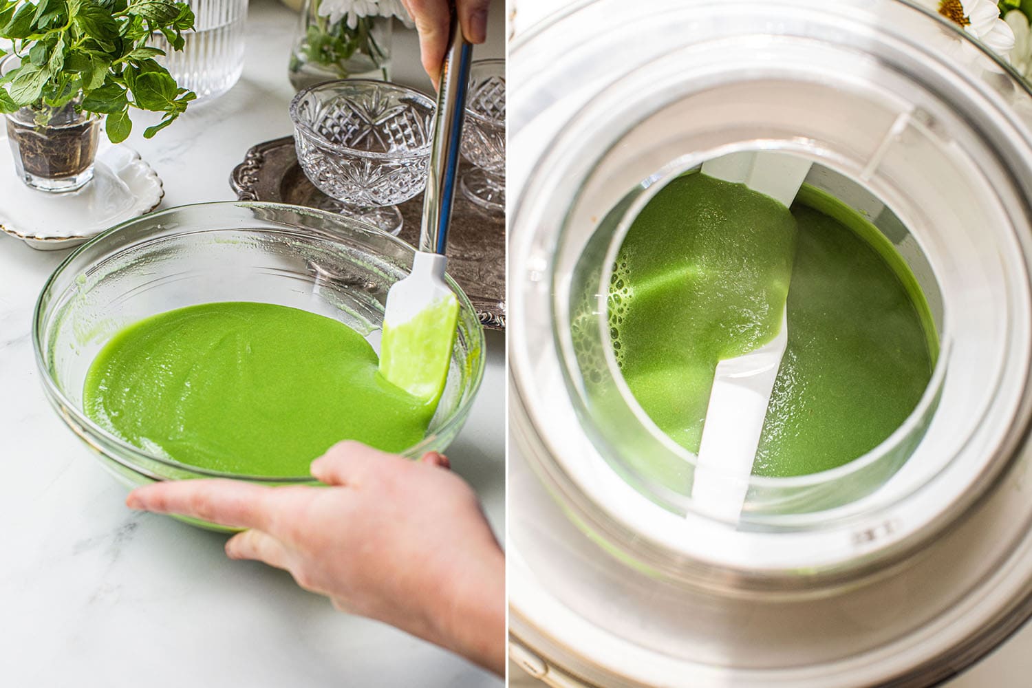 adding the green food coloring and mixing it in the sorbet and then putting it in an ice cream maker