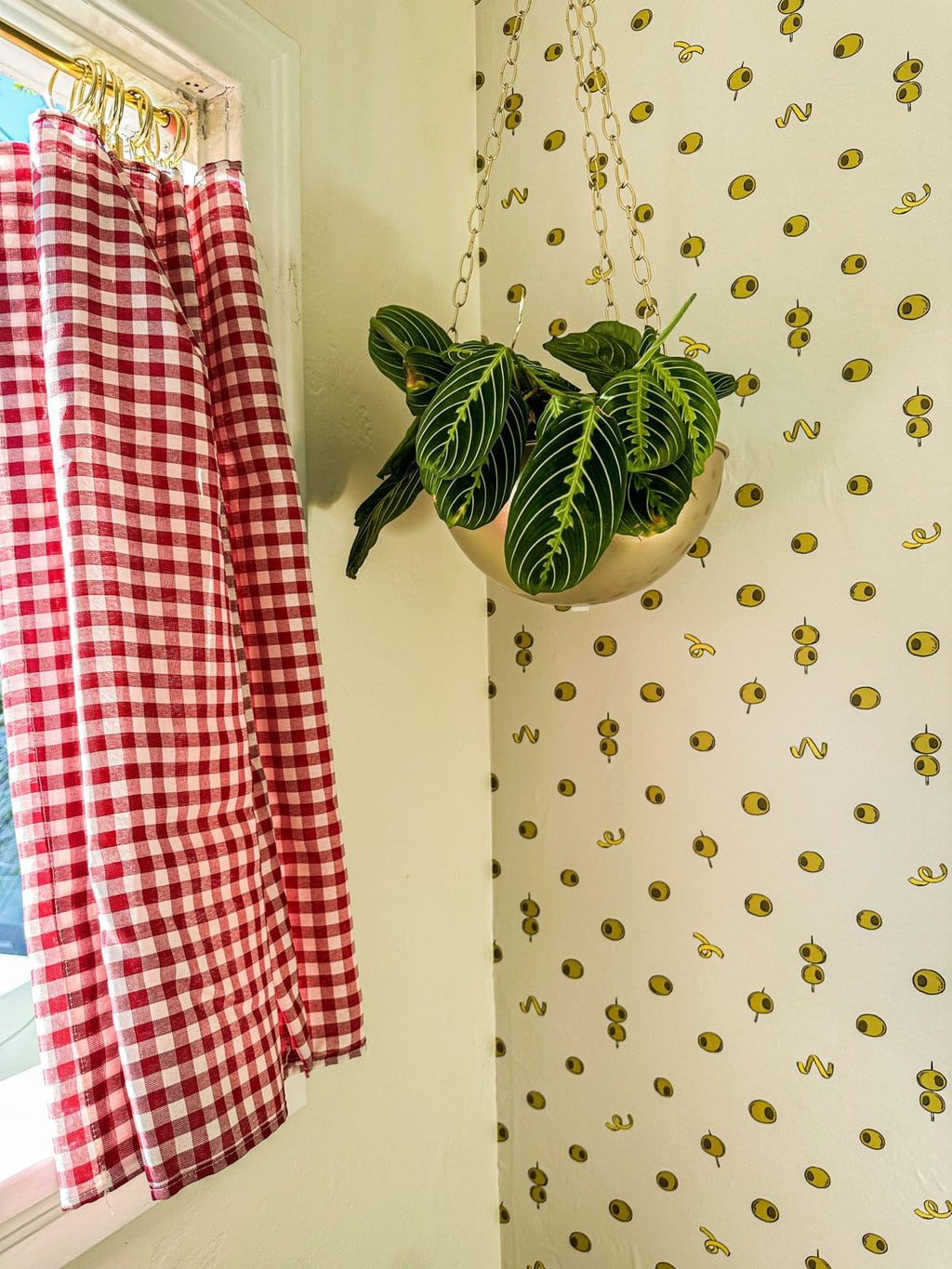 closer photo of the olive wallpaper accent wall, hanging plant, and red checkered drapes over the window