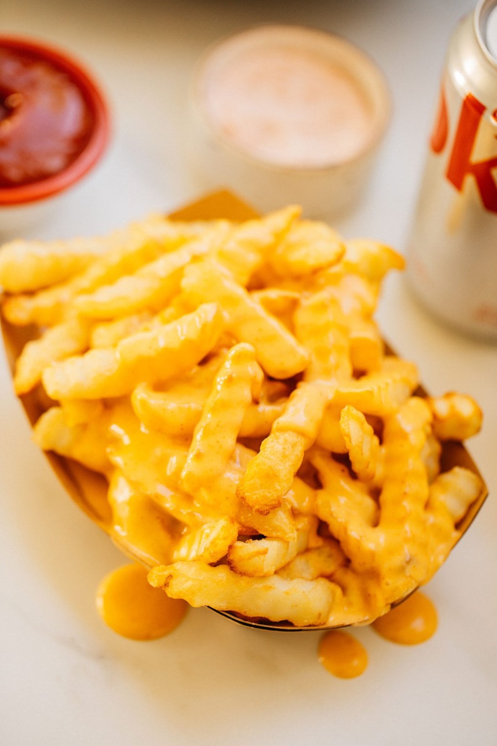 closeup shot of french fries covered in cheese sauce