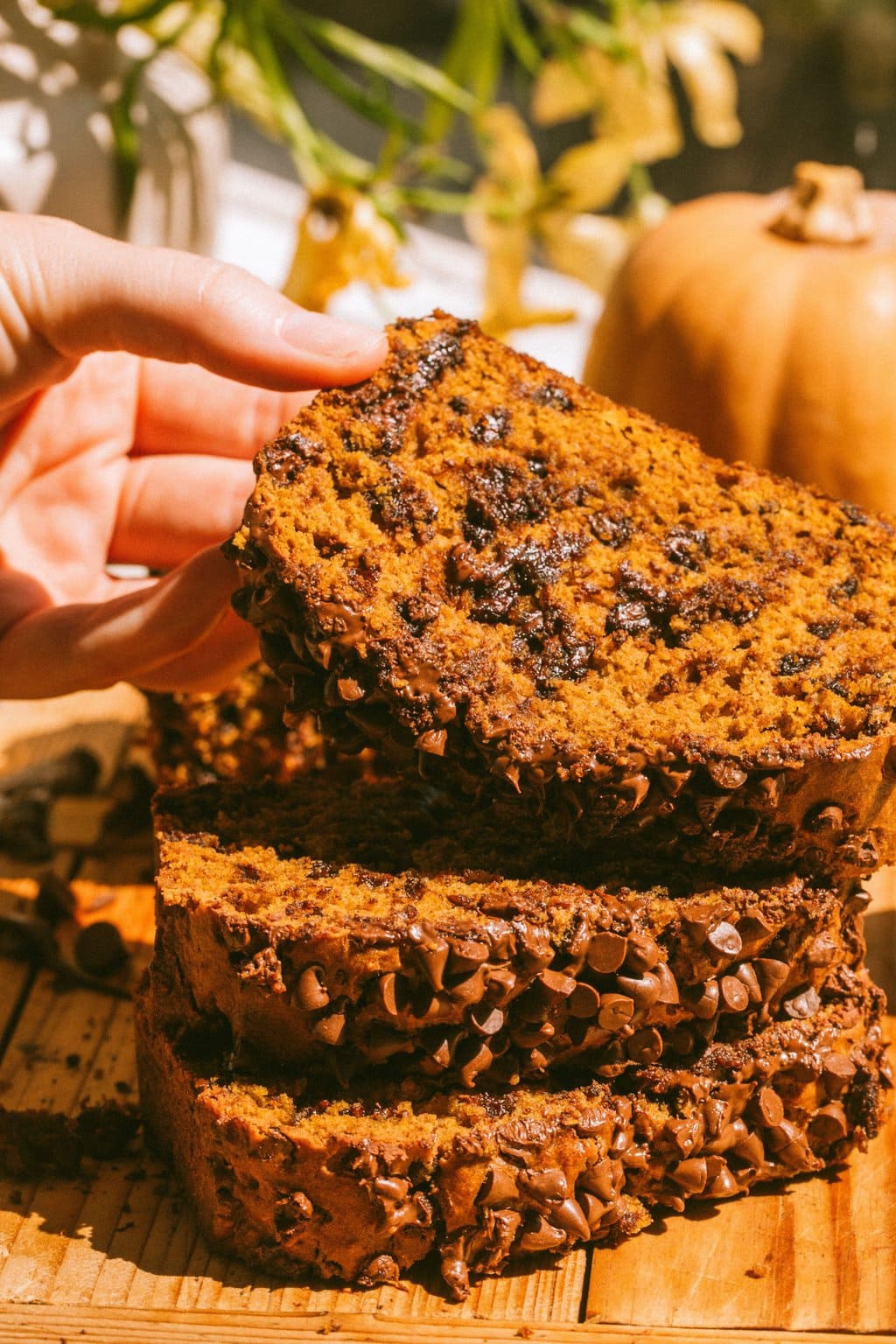 a loaf of pumpkin chocolate chip bread cut into slices and stacked on top of each other, and a hand is lifting the top slice up a bit