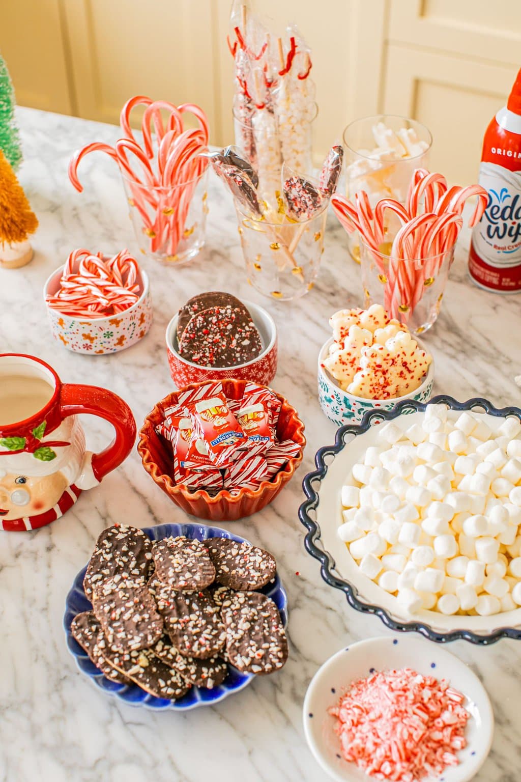 bowls of mushrooms, cookies, peppermint bark, peppermint candy, candy canes, and whipped cream to add to the hot chocolate bar